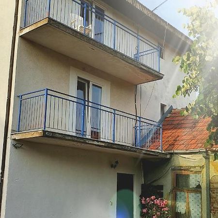 Vila Lav Sokobanja 外观 照片